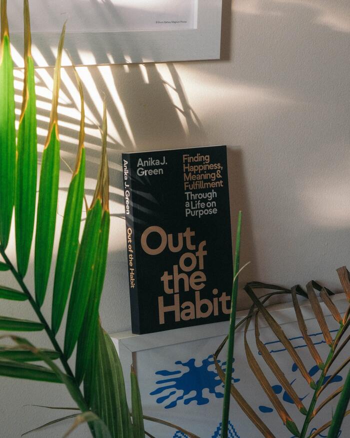 Out of the Habit by Anika J. Green 5