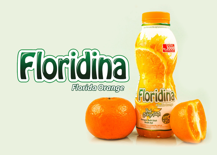 Floridina 1