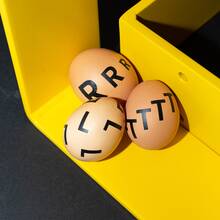 “Das Gelbe vom Ei” campaign by VetRad