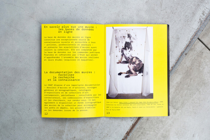 CNAP booklet 3