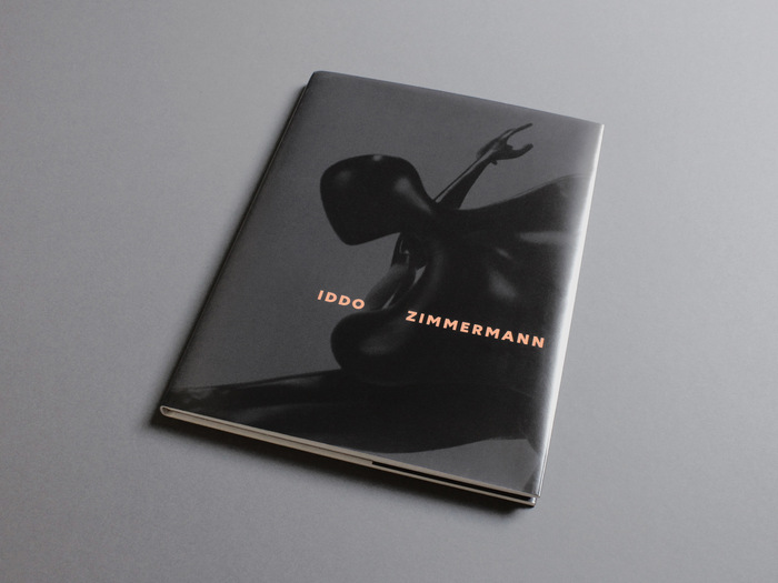 Iddo Zimmerman monograph 6