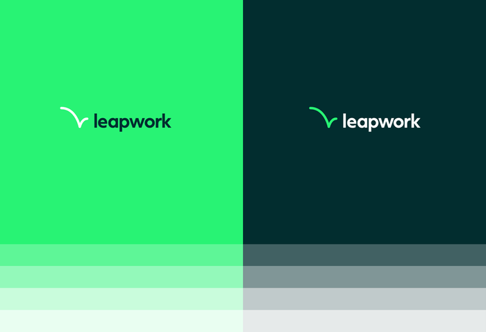 Leapwork identity 5