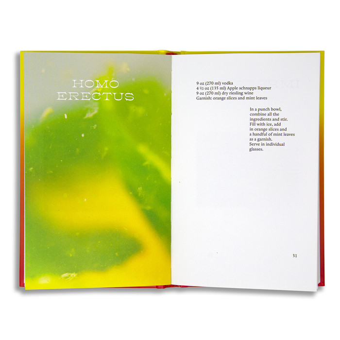 Sunset Cocktails by Guillaume Aubry and Sterling Hudson 8