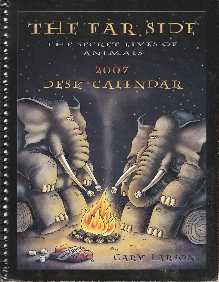 The Far Side 2007 Desk Calendar