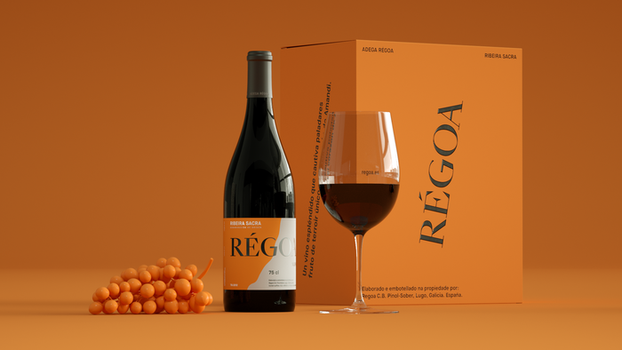 Régoa visual identity 3