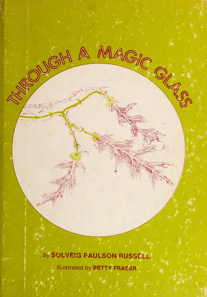 Through a Magic Glass by Solveig Paulson Russell 1