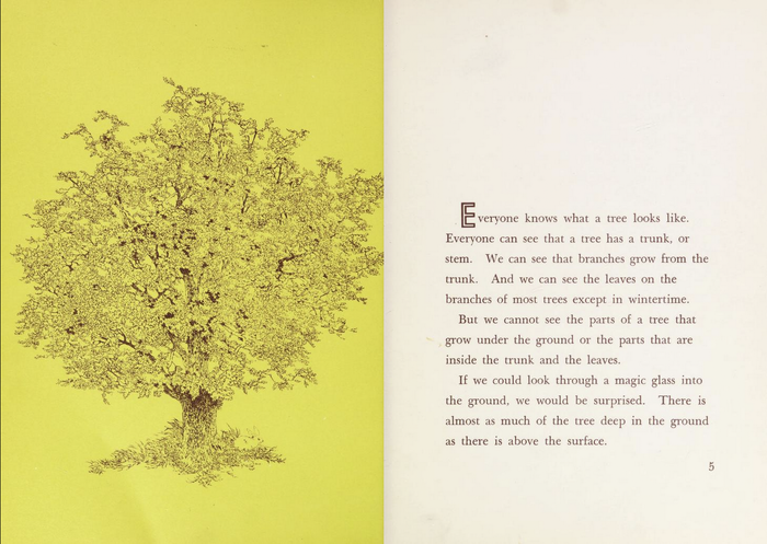 Futura Licht is also used for a drop cap, paired with text set in .