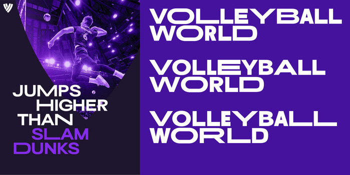 Volleyball World 6