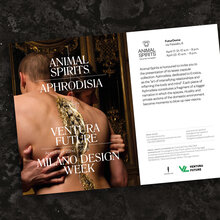 <cite>Animal Spirits</cite>