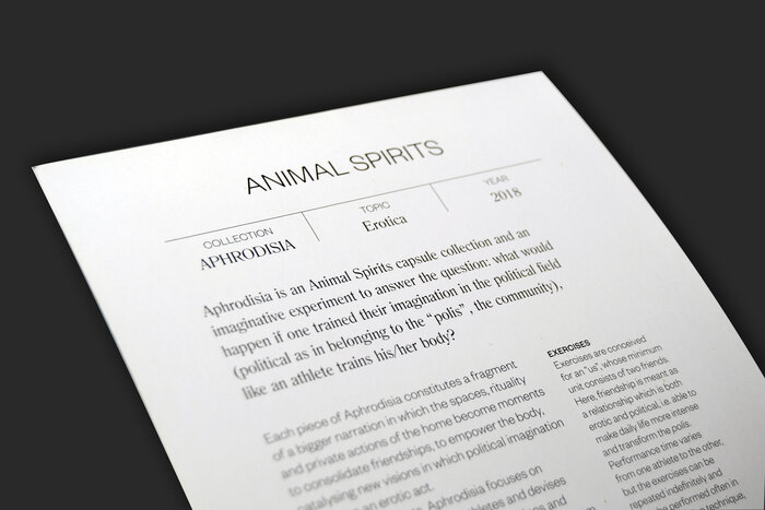 Animal Spirits 5