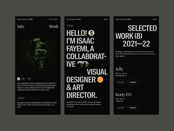Isaac Fayemi – Group 256 portfolio website 5