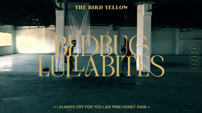 “Bedbug Lullabites” music video
