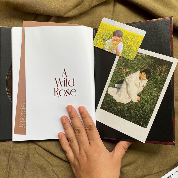 Ryeowook – A Wild Rose album art 5