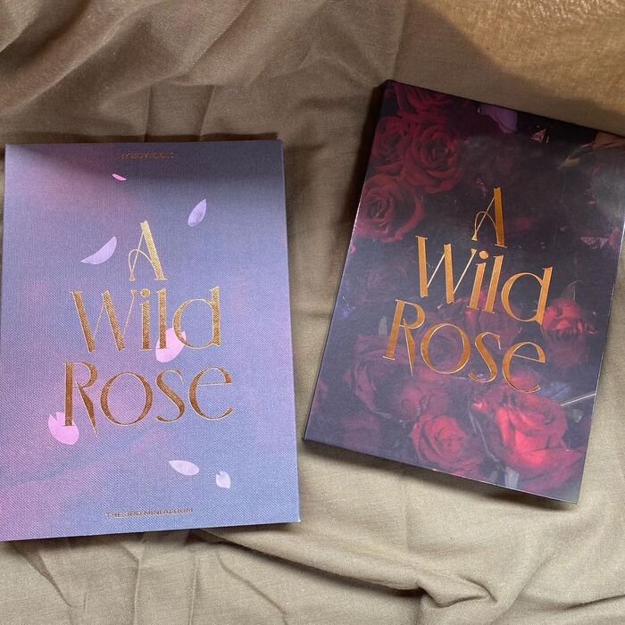 Ryeowook – A Wild Rose album art 8