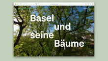 Basel und seine Bäume
