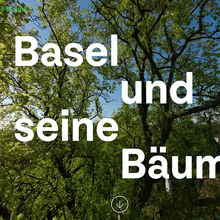 Basel und seine Bäume