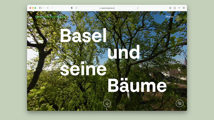 Basel und seine Bäume 1