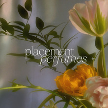 Placement Perfumes branding