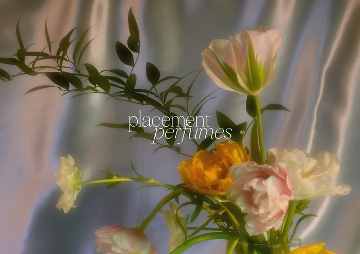 Placement Perfumes branding 2