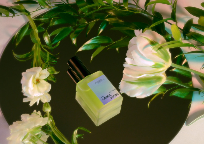 Placement Perfumes branding 4