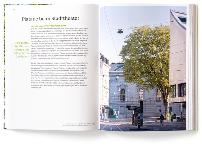 The book Basel und seine Bäume by Helen Liebendörfer and Emanuel Trueb was published by Friedrich Reinhardt Verlag, 2022.