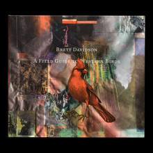 Brett Davidson – <cite>A Field Guide to Western Birds </cite>album art
