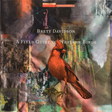 Brett Davidson – <cite>A Field Guide to Western Birds </cite>album art