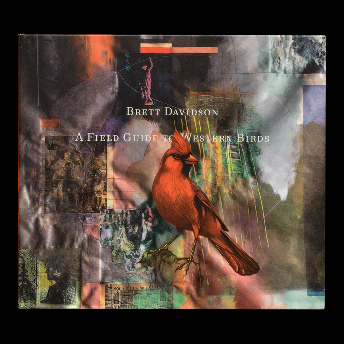 Brett Davidson – A Field Guide to Western Birds album art 1
