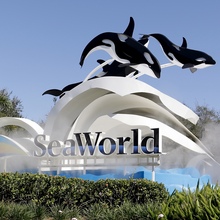 SeaWorld logo (1996–)