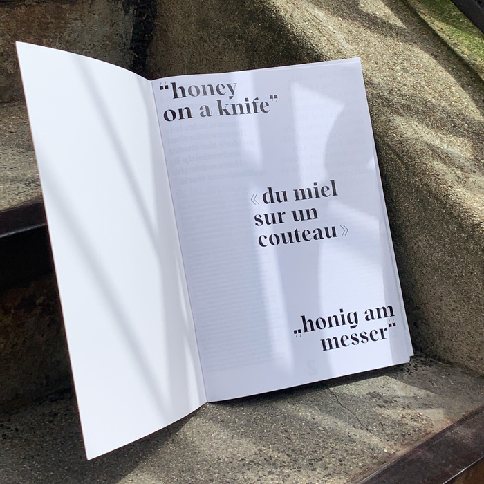 Laura Lamiel: «du miel sur un couteau» booklet 2