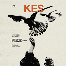 <cite>Kes</cite> film poster