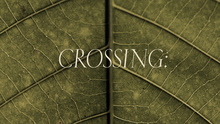 Crossing Collection – A/W 2023 by Lanificio Cerruti