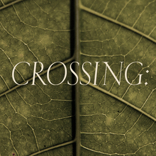 Crossing Collection – A/W 2023 by Lanificio Cerruti