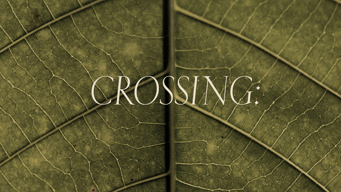 Crossing Collection – A/W 2023 by Lanificio Cerruti 1