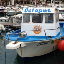 “Octopus” boat
