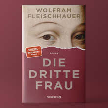 <cite>Die Dritte Frau</cite> by Wolfram Fleischhauer