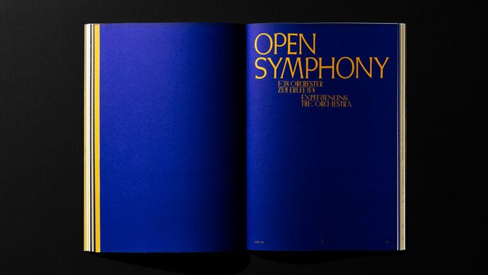 Wiener Symphoniker 5