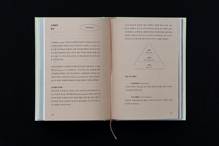 차의 계절 The Seasons of Tea 3