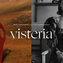 Visteria visual identity and website