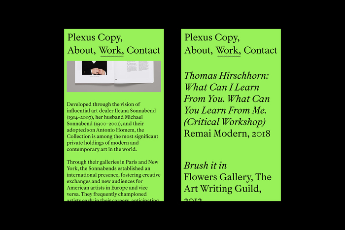 Plexus Copy portfolio website 6