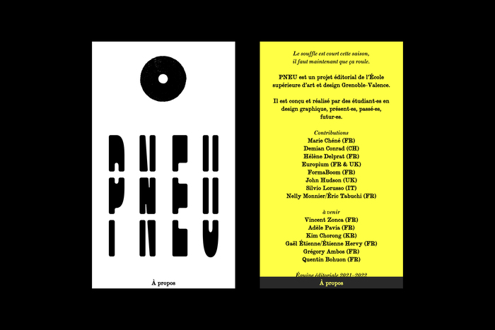 PNEU website 5