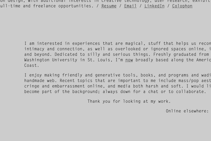 Leslie Liu portfolio website 3