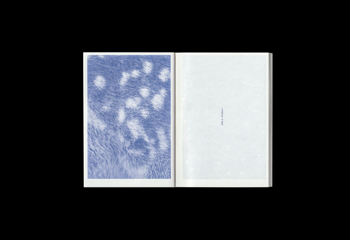 Rundum – das kleinste grafische Element. Ein Text über den Punkt by Kathrin Wedler 3