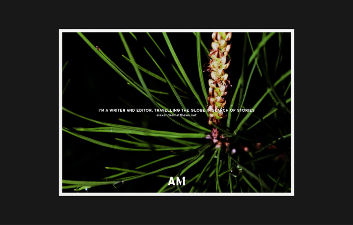 Alexander Matthews visual identity 2