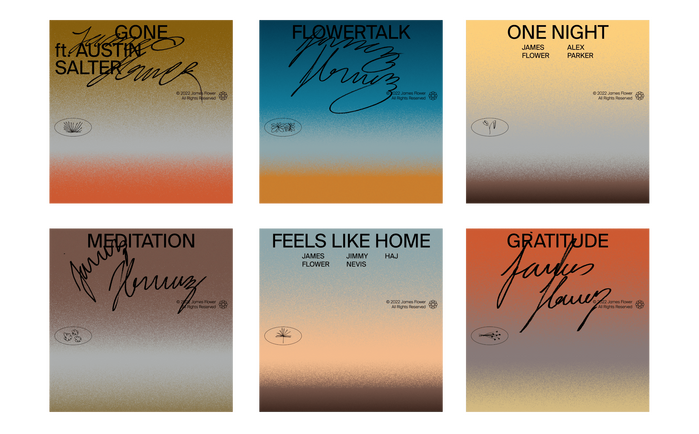 James Flower identity 2
