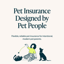 FIGO Pet Insurance website