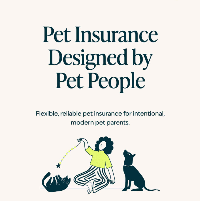 FIGO Pet Insurance website 1