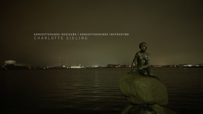 The Bridge (2011) titles 8