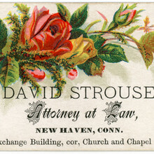 David Strouse business card