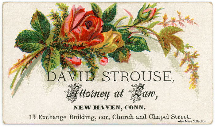 David Strouse business card